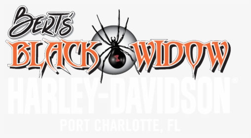 Black Widow Spider, HD Png Download, Free Download