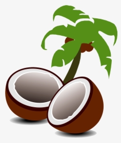 Coconut Water Coconut Milk Fruit Tree - Coconut Fruit And Tree Clipart, HD Png Download, Free Download