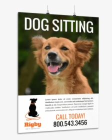 Dog Sitting Contact Poster Template Preview - Companion Dog, HD Png Download, Free Download