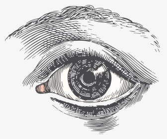 Drawing Medium Close Up - Eye Engraving, HD Png Download, Free Download