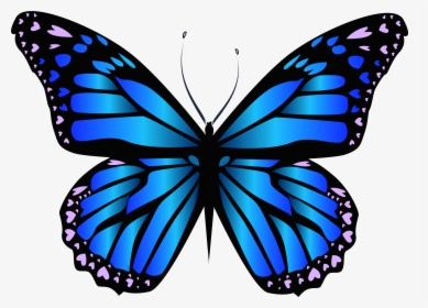 Clip Art Blue Butterfly Transparent - Butterfly Clipart, HD Png Download, Free Download