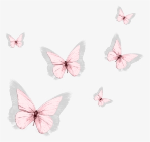 Pink Aesthetic Butterfly Png, Transparent Png - kindpng