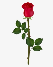 Red Image Gallery Yopriceville, HD Png Download, Free Download