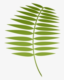Lent Palm, HD Png Download, Free Download