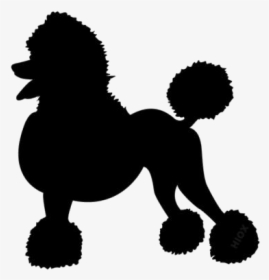 Transparent Poodle Dog Silhouette - Clip Art Poodle Svg, HD Png Download, Free Download