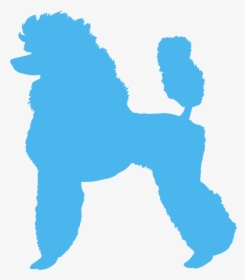 Clip Art Standard Poodle Silhouette, HD Png Download, Free Download