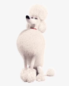 Poodle Secret Life Of Pets Characters, HD Png Download, Free Download