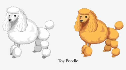 Vector Cartoon Yellow White Toy Poodle Png Download - Poodle Dog Cartoon Vector, Transparent Png, Free Download