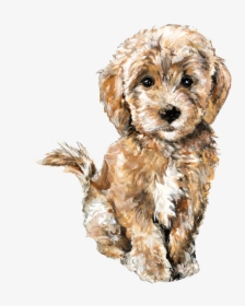 Poodle - Redbubble Stickers Goldendoodle, HD Png Download, Free Download