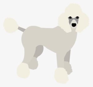 Poodle Puppy Dog Birthday Banner Personalized Party - Standard Poodle, HD Png Download, Free Download