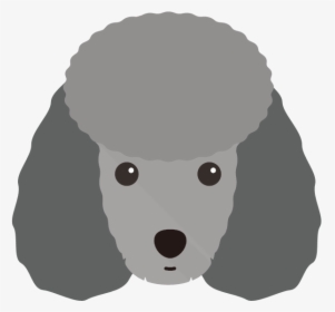 Yappicon - Poodle Icon Png, Transparent Png, Free Download