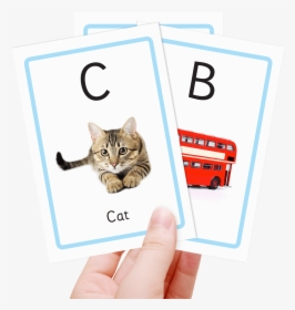 Free Alphabet Flash Cards - Real Alphabet Flash Cards, HD Png Download, Free Download