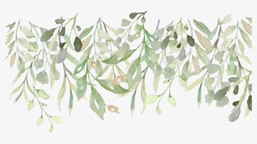 Transparent Eucalyptus Leaves Png - Bay Laurel, Png Download, Free Download