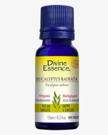 Divine Essence Eucalyptus Radiata, HD Png Download, Free Download