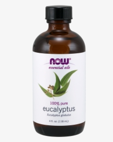 Now Eucalyptus Oil - Eucalyptus Essential Oil, HD Png Download, Free Download