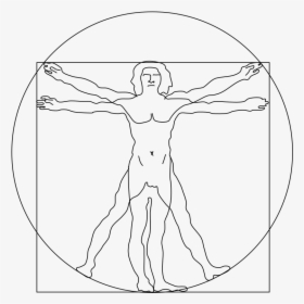 Vitruvian Man - Leonardo Da Vinci Man Easy Drawing, HD Png Download, Free Download