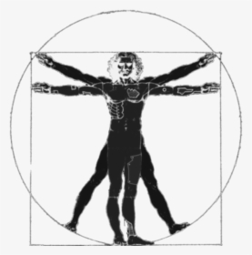Vitruvian Man Silhouette - Da Vinci Man Vitruvian Vector, HD Png Download, Free Download