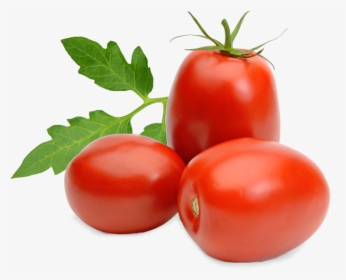 Roma Tomatoes, HD Png Download, Free Download