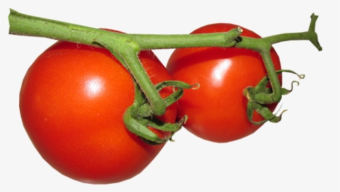 Fresh Tomato Free Png Image - Cherry Tomatoes, Transparent Png, Free Download