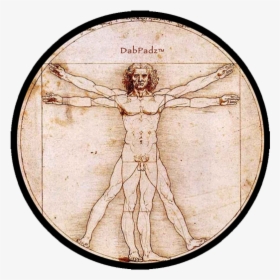 Vitruvian Man Dab Pad - Rule Of Thirds Da Vinci, HD Png Download, Free Download