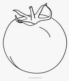 Tomato Coloring Page, HD Png Download, Free Download