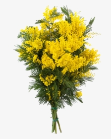 Transparent Goldenrod Flower Clipart - Mimosa Bouquet, HD Png Download, Free Download
