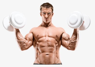 Transparent Bicep Curl Clipart - Body Builders, HD Png Download, Free Download