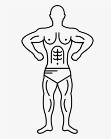 Muscular Bodybuilder Outline - Gymnast Easy Drawing, HD Png Download, Free Download