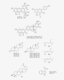 Diagram, HD Png Download, Free Download