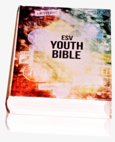 Psbesv Youth Bible - Flyer, HD Png Download, Free Download