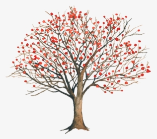 Erythrina Coralloides Png, Transparent Png, Free Download