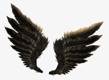 Transparent Dragon Wings Png - Wings For Photo Editing, Png Download, Free Download