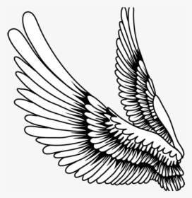 Cartoon Wings Transparent Background, HD Png Download, Free Download