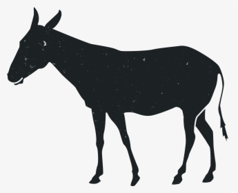 Mustang American Paint Horse Stallion Animal Silhouette - Burro, HD Png Download, Free Download