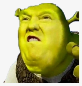 Trump Donaldtrump Shrek Meme Stealthis Stealthissticker - Donald Trump Shrek Meme, HD Png Download, Free Download