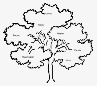 Banner Stock Cook Clip Art At Clker Com Vector - Outline Pictures Of Tree, HD Png Download, Free Download