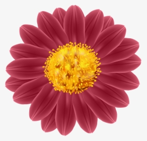 Transparent Blooming Clipart - Mexican Sunflower Drawing, HD Png Download, Free Download
