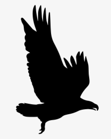 Silhouette Eagle Clip Art, HD Png Download, Free Download