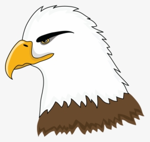 Free Bald Clip Art - Bald Eagle Head Clipart, HD Png Download, Free Download