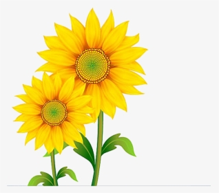 Free Content Clip Art - Transparent Background Sunflower Clip Art, HD Png Download, Free Download