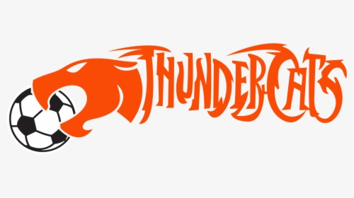 Thundercats-sc - Astra 1640040035 - Door Mat - Door - Black And White, HD Png Download, Free Download