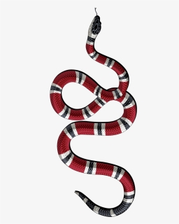 Transparent Coral Clipart - Gucci Snake Png, Png Download, Free Download