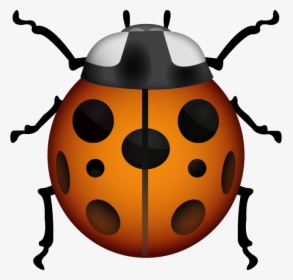 Ladybird Emoji, HD Png Download, Free Download