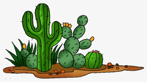 Cactaceae Saguaro Prickly Pear Clip Art - Cactus Clipart, HD Png Download, Free Download