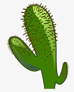 Cactus, Landscape, Dry, Green, Desert, Warm - Cactus Clipart, HD Png Download, Free Download
