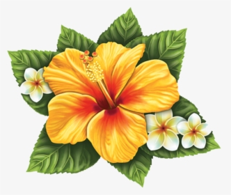 Porc Hf56 10"x9 - Hibiscus Flower Colors Yellow, HD Png Download, Free Download