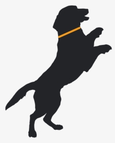 Happy Dog Jump Silhouette, HD Png Download, Free Download