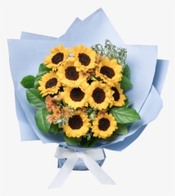 Sunflower, HD Png Download, Free Download