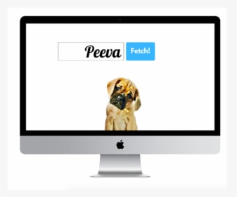 Peeva Fetch Central Pet Microchip Registry And Pet - Imac 27, HD Png Download, Free Download