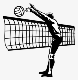 Florida Gators Women"s Volleyball A1 Ethniki Volleyball - Mens Volleyball Clipart Black And White, HD Png Download, Free Download